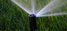 Picture of Lawn Sprinkler